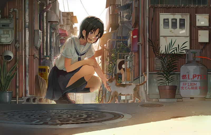 图片[16] - [桜犬(sakura77722)]Pixiv+推特图片包[386P] - 森语小屋