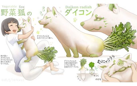 [画师推荐][ぽん吉(PonkichiM)]Pixiv+推特图片包[1236P] - 森语小屋