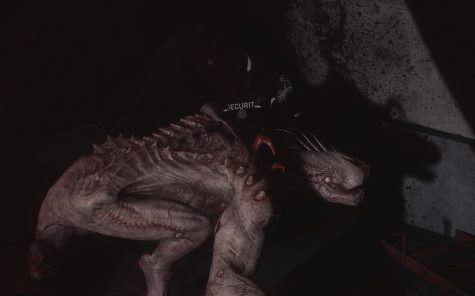 SCP:大流行病/SCP: 5K/支持网络联机