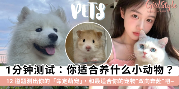 你适合养什么小动物？12 道题测出你的命定萌宠，获得毛茸茸陪伴~