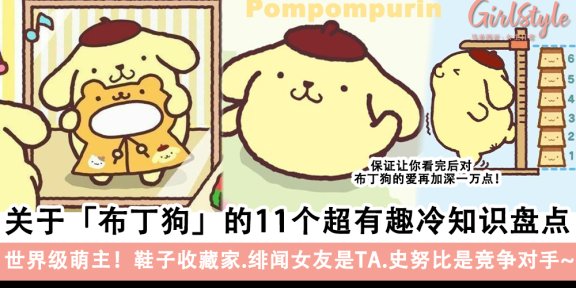 关于「布丁狗」的11个超有趣冷知识盘点